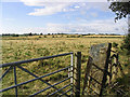 Farmland south-southwest of West Home Farm in Whalton