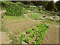Kitchen garden, Gidleigh Park in TQ13 8HP