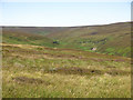 Moorland southwest of Great Eggleshope Beck in DL12 0SA