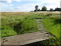 Path on East Wickham Open Space in DA16 3JU