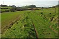 Bridleway near Mappercombe in DT6 4PF
