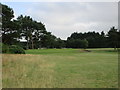 Scotscraig Golf Course, 17th hole, Road in DD6 9EG