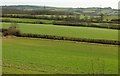 Farmland near Mappercombe in DT6 3SS