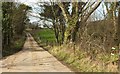 Lane at Brook Knowle in DT6 3ST