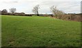 Field by Ruscombe Lane in DT6 3TJ