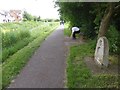 Canal towpath opposite Maidenbrook, passing Neptune in TA2 8PS