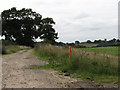 View SW from bridleway near Saxthorpe in NR11 7BG