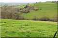 Valley and strip lynchets, Mapperton in DT8 3NS