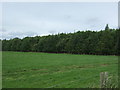 Grazing and woodland near Saltoun Hall in EH34 5DS
