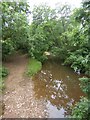 River Yeo at Yeoton Bridge in EX17 3QH