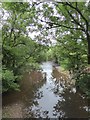 River Yeo seen from Yeoton Bridge in EX17 3QH