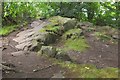 Rock outcrop, Corstorphine Hill in EH12 6UT