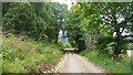 Track near Struy in IV4 7JS