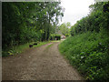 Footpath from Ranworth Road in NR13 6DX