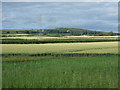 Crop fields and pylon in TD15 1UY