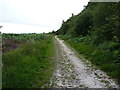 Track along the side of Fire Beacon Plantation in EX10 0LR