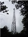 Communications mast on Tombstone Lane in EX16 8JN