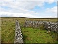 Sheepfold on top of Cheeks Hill in SK17 0TJ