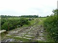 Bridge and farm track near Head House Farm in DE7 6HX