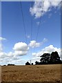 Power lines over a field of barley in DN22 9BD