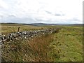 Boundary wall on Axe Edge Moor in SK17 0TJ