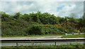 Slip road on the A380 in TQ12 3QD