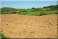 Farmland near Brimley Coombe Farm in DT8 3JZ