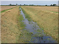 Newly mown drain north of Jones's Drove, Whittlesey, Cambs in PE7 2HT