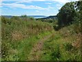 Path in Auchmountain Glen in PA15 3EH