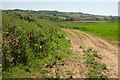 Track near Stoke Water Farm in DT8 3LW