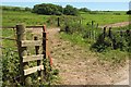 Tracks northwest of Broadleaze Farm in DT8 3SH
