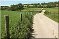 Bridleway to Chedington in DT8 3SH