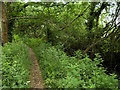 The Itchen Way near Bishopstoke in SO50 6NZ