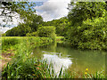 River Itchen near Bishopstoke Park in SO50 6JA