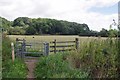 Kissing Gate on the Stour Valley Path in CO7 6UD