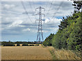 Power line over a barley field in CM3 6EZ