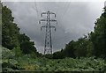 Electricity pylon at Piles Coppice in CV3 2ZZ