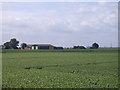 Bean field beside Mile End Road in CB7 4SN