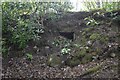 Burial Cist in Dunrobin Park, Sutherland in KW10 6RS