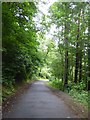Path through the woods, Pollok Country Park in G41 4BT