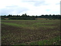 Field off Pigstye Green Road in CM5 0QJ