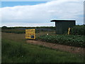 Sunflower field off the Roxwell Road in CM1 3SU