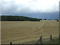 Stubble field towards Latton Park in CM17 9NG