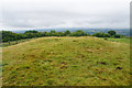 Tumulus on Cothelstone Hill in TA4 3DT