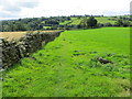 Wallside Footpath and Bridleway passing through fields near Hardgate in HG3 3JS