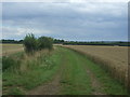 Farm track (footpath) towards Bridge Farm in CM5 0QL