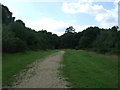 Path towards Hollow Pond in E11 1NP