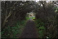 Path through the bushes at Aberlady Bay in EH32 0SA
