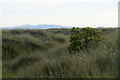 Looking SW in the dunes at Aberlady Bay in EH32 0QD