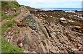 Coastal path at Cowie in AB39 2RL